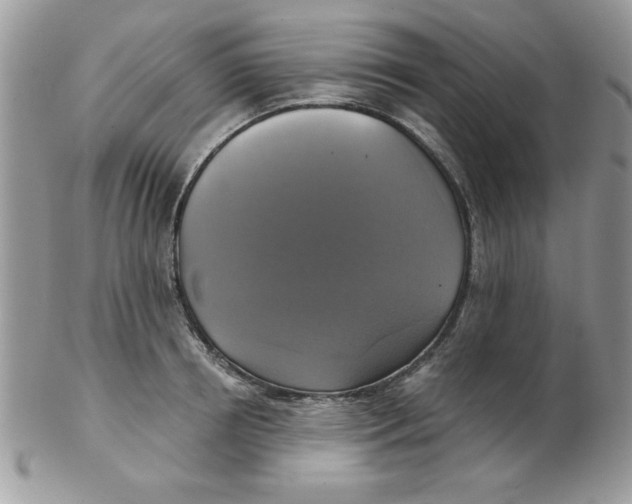 X0000102410850200808221910