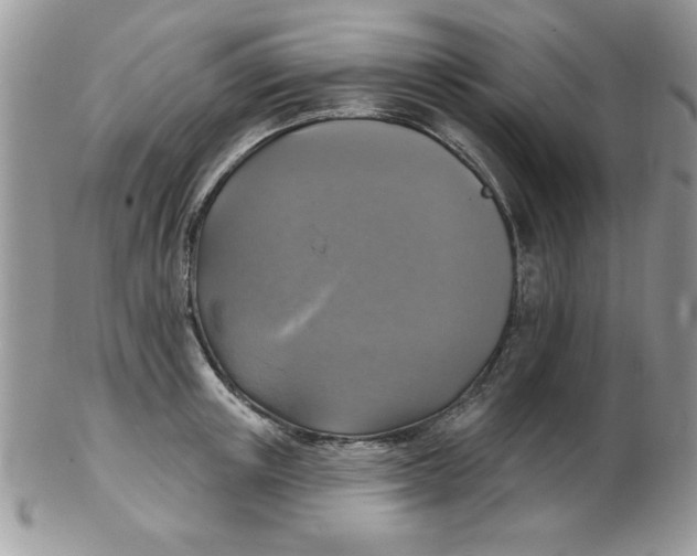 X0000102410851200808221910