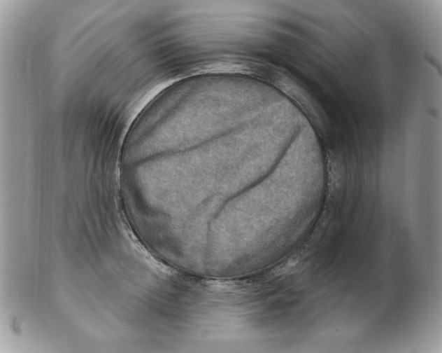 X0000102410852200808221910