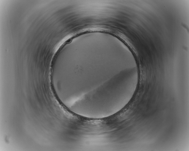 X0000102410853200808221910