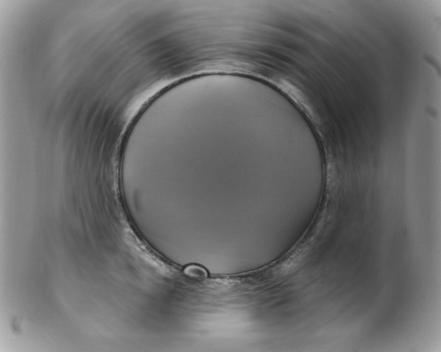 X0000102410854200808221910