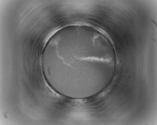 X0000102410855200808221910