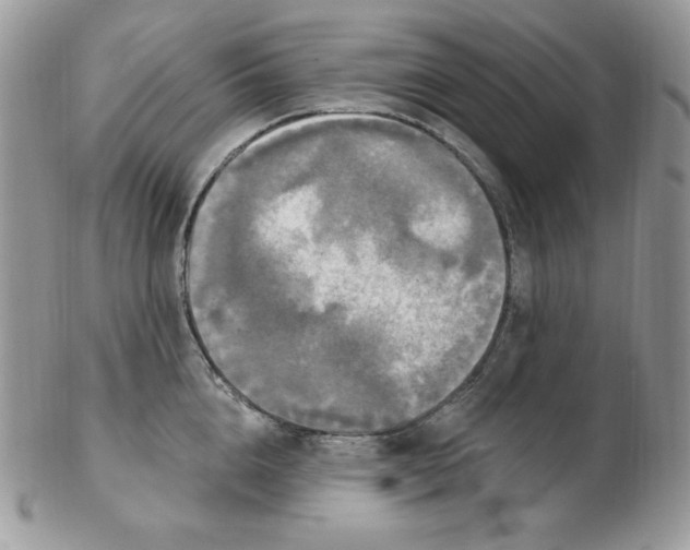 X0000102410856200808221910