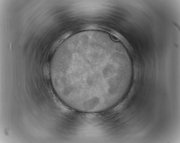 X0000102410857200808221910