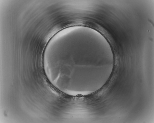 X0000102410858200808221910