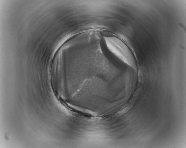 X0000102410859200808221910