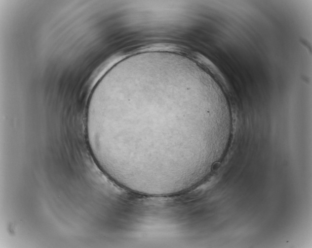 X0000102410860200808221910