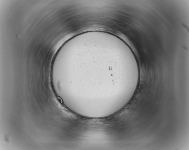 X0000102410861200808221910