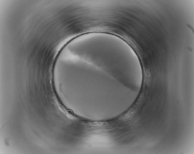 X0000102410862200808221910