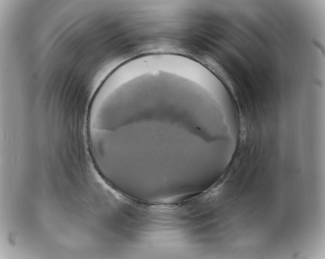 X0000102410863200808221910