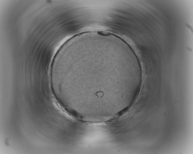 X0000102410864200808221910