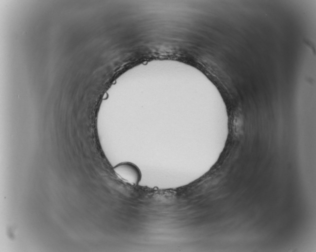 X0000102410865200808221909