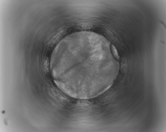 X0000102410866200808221909