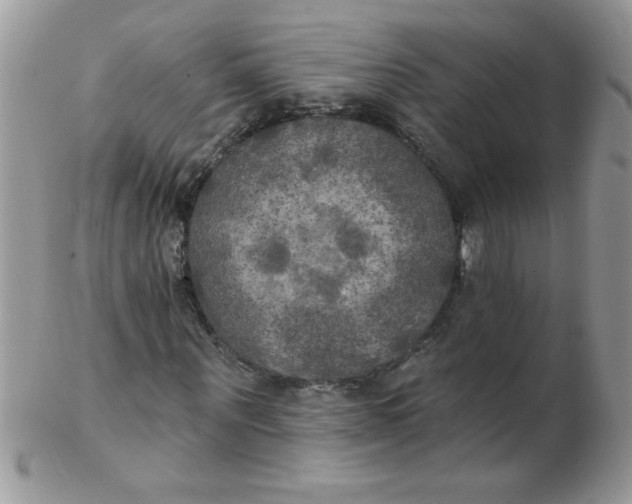 X0000102410867200808221909