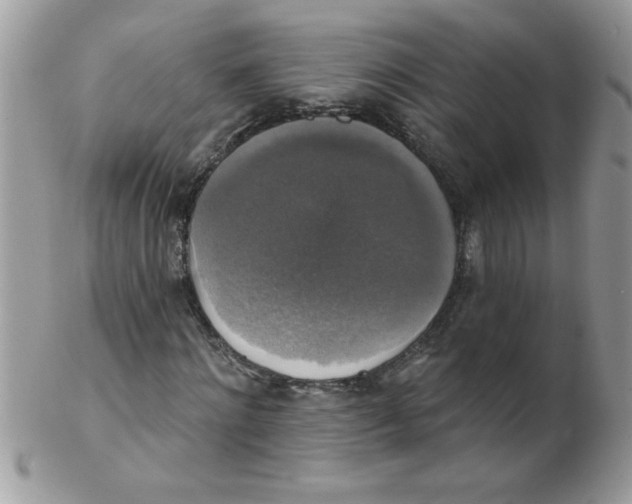 X0000102410868200808221909