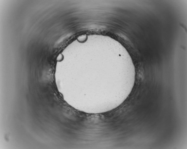 X0000102410869200808221909