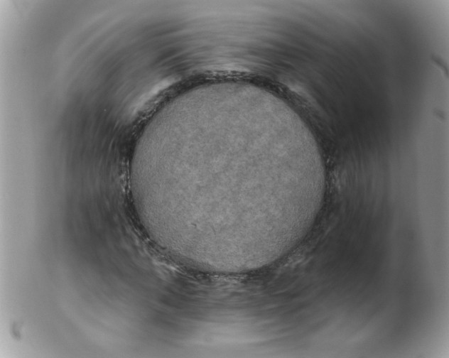 X0000102410870200808221909