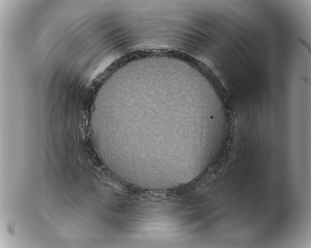 X0000102410871200808221909