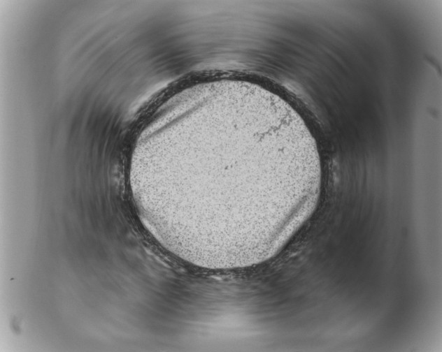 X0000102410872200808221909