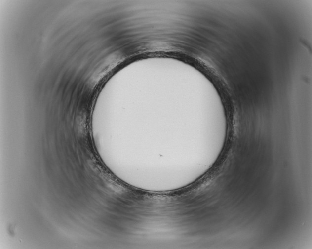 X0000102410873200808221909