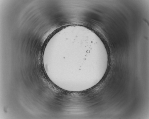 X0000102410875200808221909