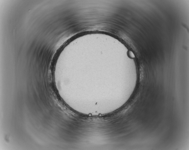 X0000102410876200808221909