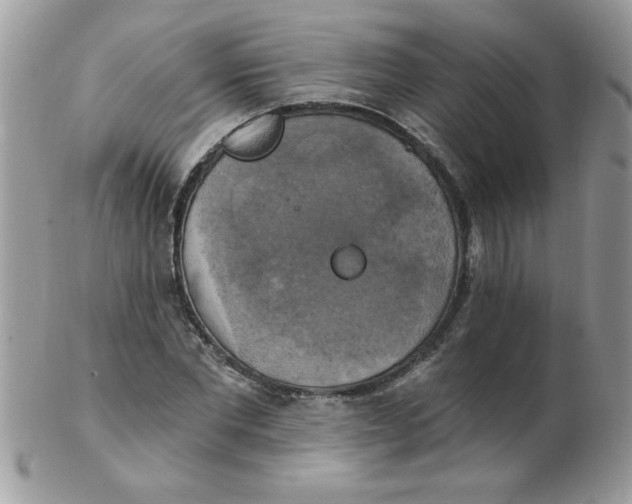 X0000102410877200808221909