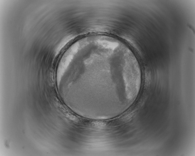 X0000102410878200808221909