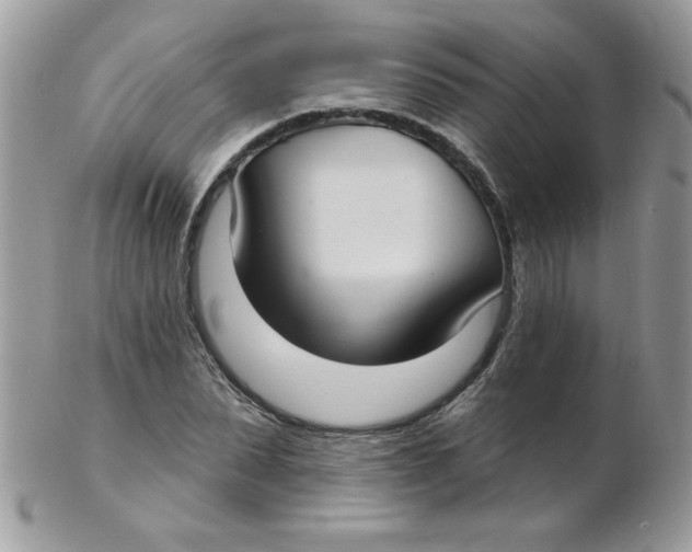 X0000102410879200808221909