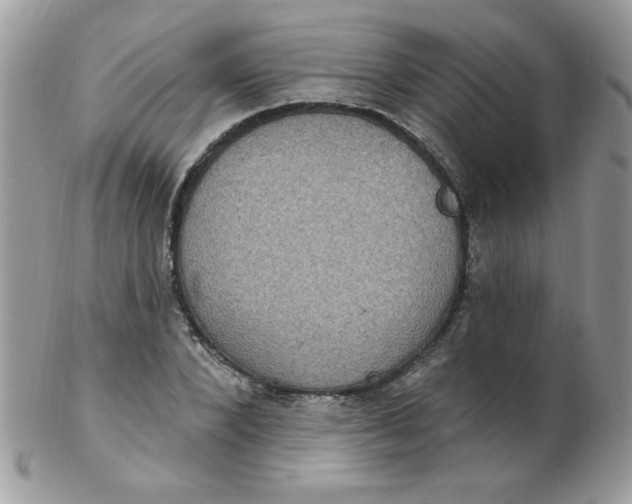 X0000102410880200808221909