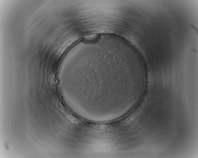 X0000102410881200808221909