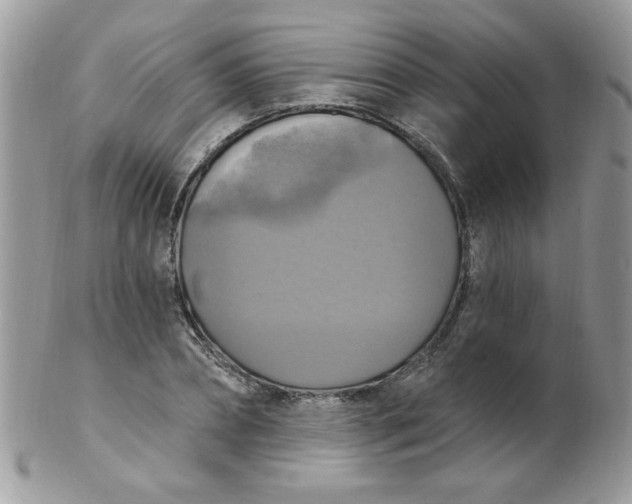 X0000102410882200808221909