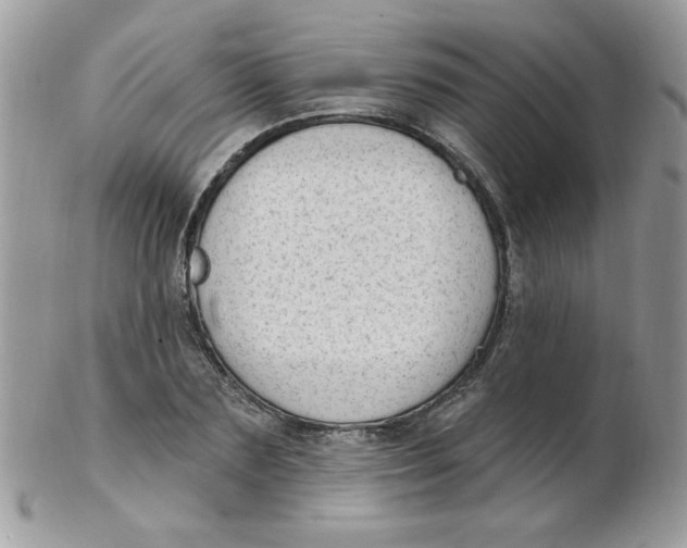 X0000102410883200808221909