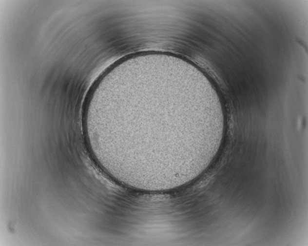 X0000102410884200808221909