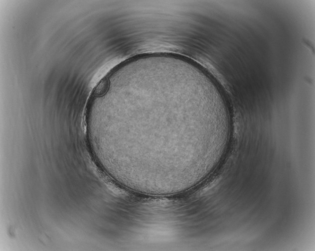 X0000102410885200808221909