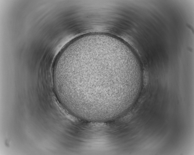 X0000102410886200808221909