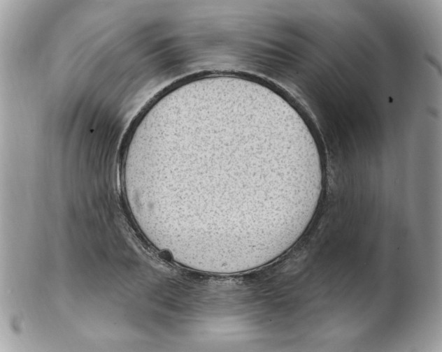 X0000102410887200808221909