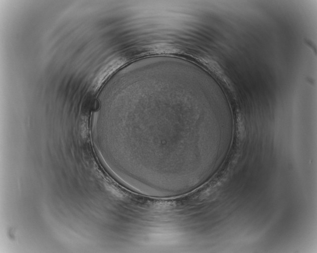 X0000102410889200808221909