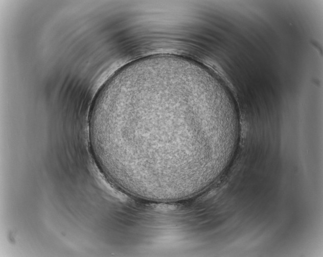 X0000102410890200808221909