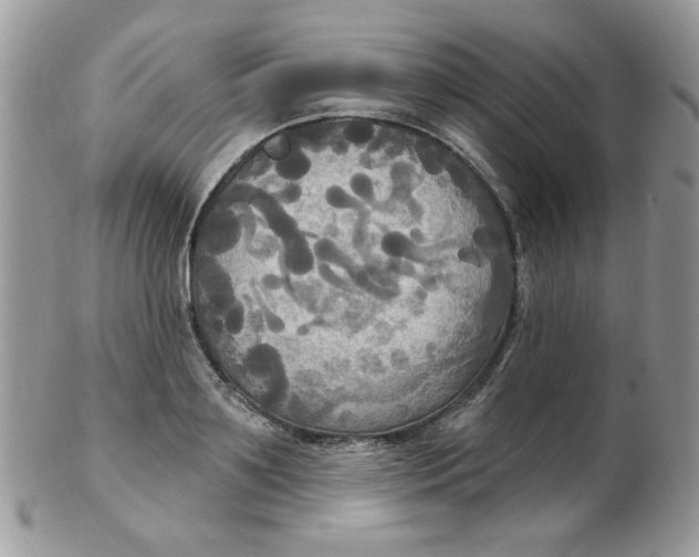 X0000102410891200808221909