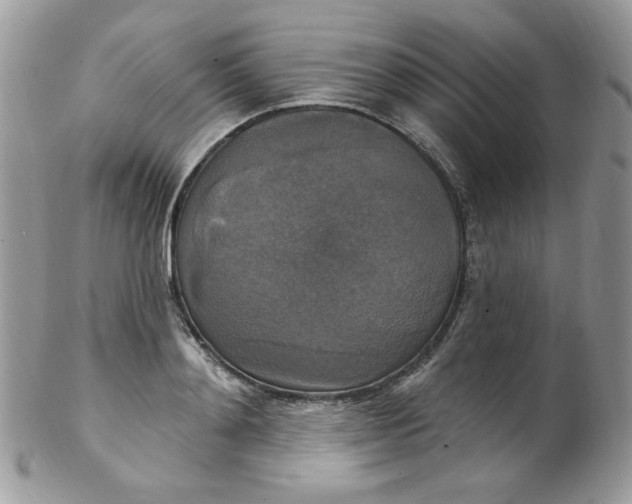 X0000102410892200808221909