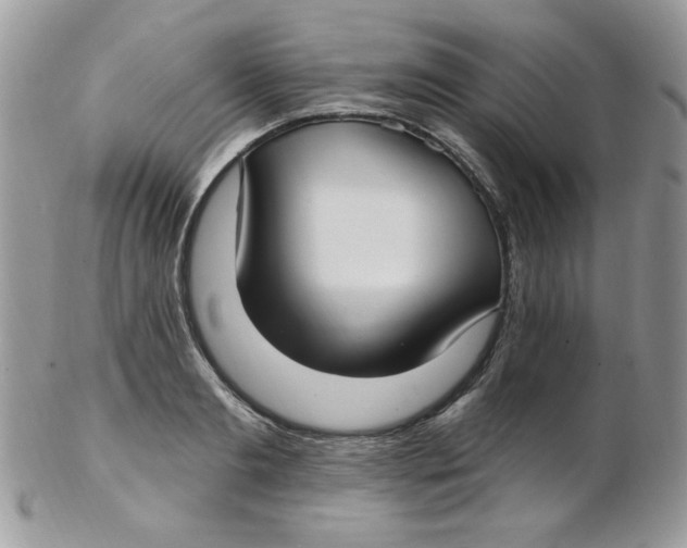 X0000102410893200808221909