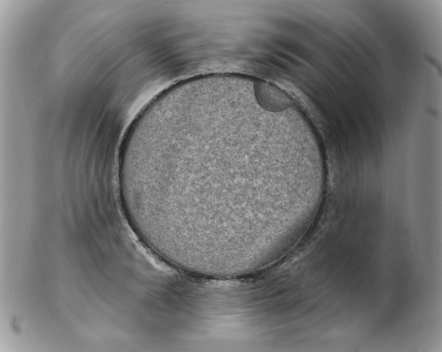 X0000102410894200808221909