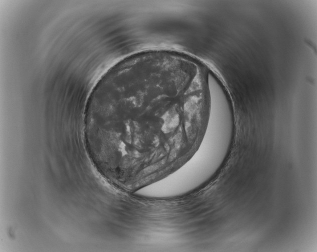 X0000102410895200808221909