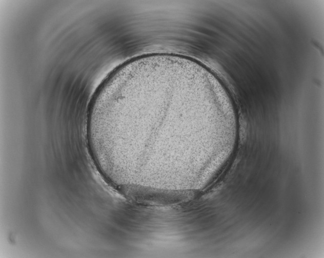 X0000102410896200808221909