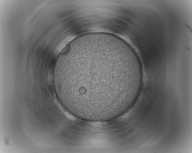 X0000102410897200808221909