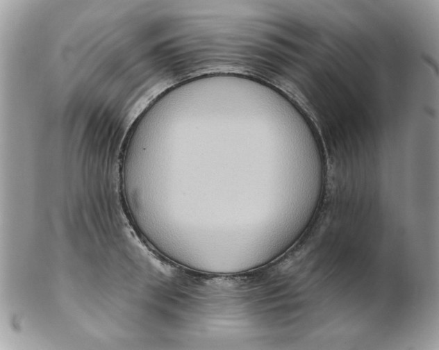 X0000102410898200808221909