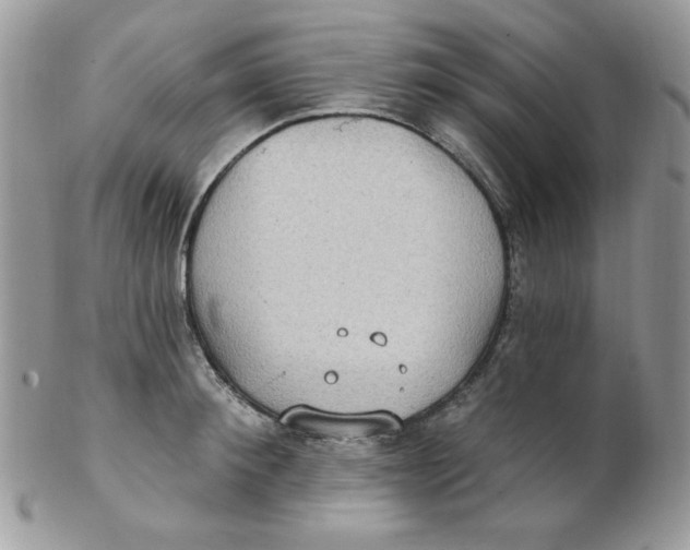 X0000102410900200808221909