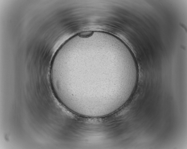 X0000102410901200808221909