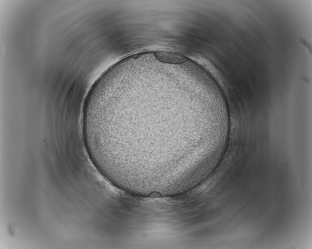 X0000102410902200808221909